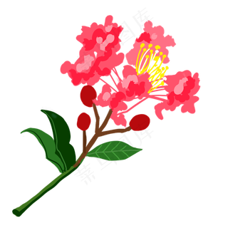 鲜艳一朵的紫薇花