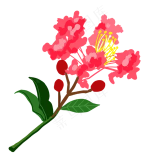 鲜艳一朵的紫薇花