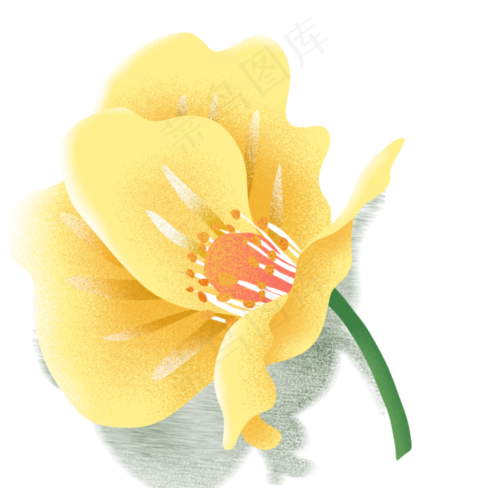 盛开的黄色鲜花下载(2000X2000(DPI:300))psd模版下载