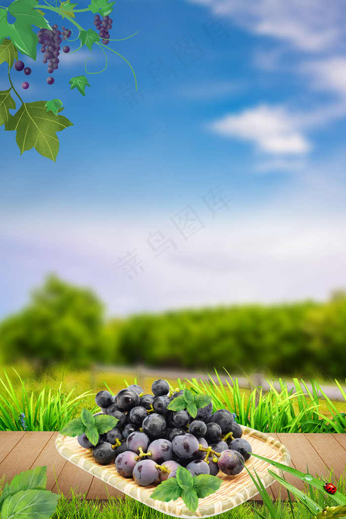 葡萄活动促销背景