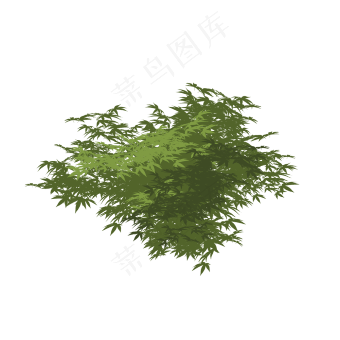 春天绿色植物叶子下载(2000X2000)