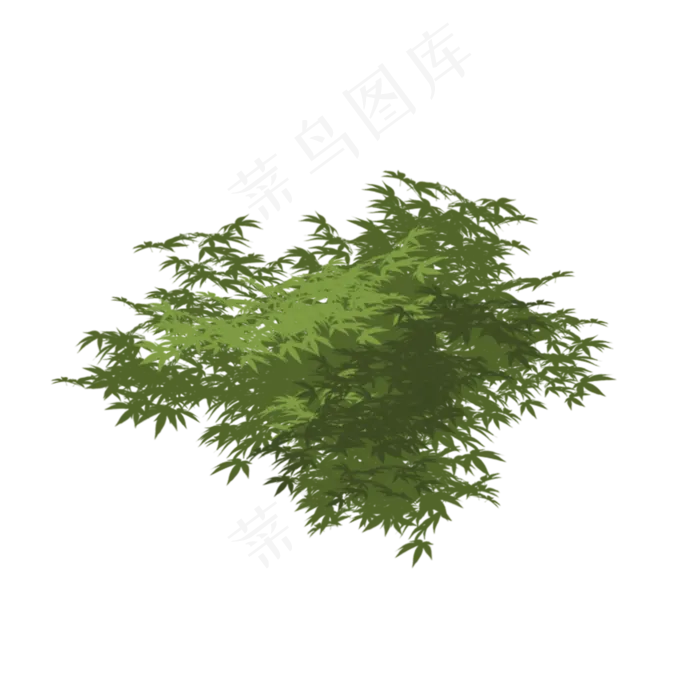 春天绿色植物叶子下载(2000X2000)
