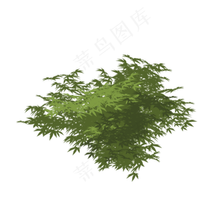 春天绿色植物叶子下载