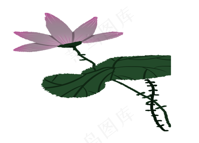 一朵荷花(1370X983(DPI:300))psd模版下载
