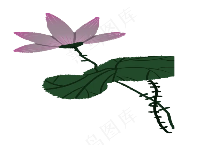 一朵荷花(1370X983(DPI:300))psd模版下载