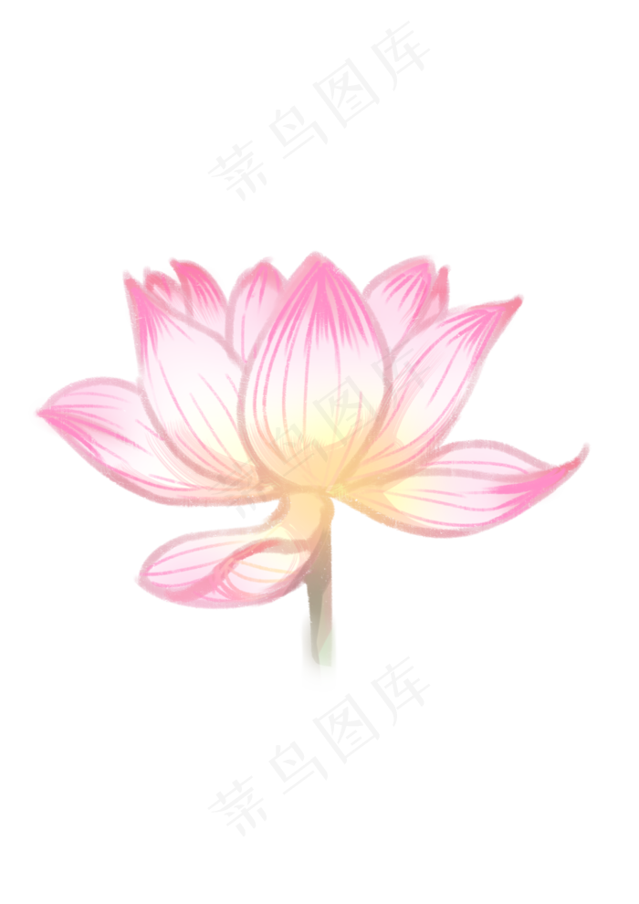 手绘夏日荷花PNG下载(2480X3508(DPI:300))psd模版下载
