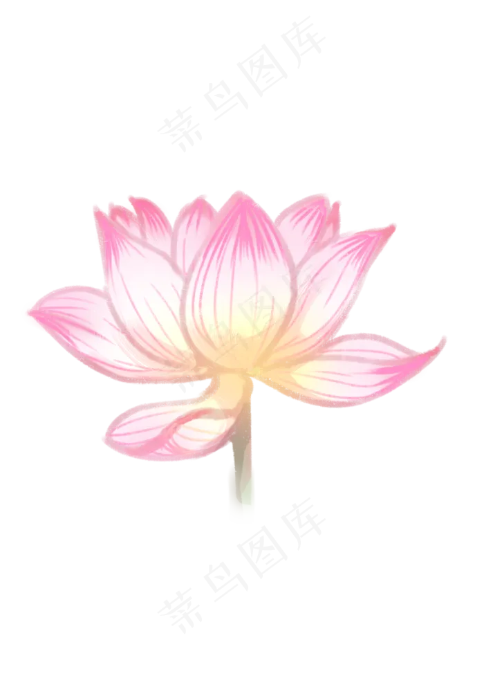 手绘夏日荷花PNG下载(2480X3508(DPI:300))psd模版下载