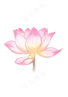 手绘夏日荷花PNG下载