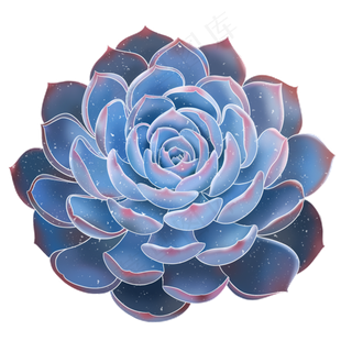 春季水彩植物多肉,免抠元素