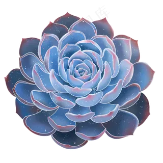 春季水彩植物多肉,免抠元素
