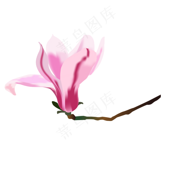 矢量免扣卡通玉兰花,免抠元素(4167*4167px 300 dpi )ai矢量模版下载