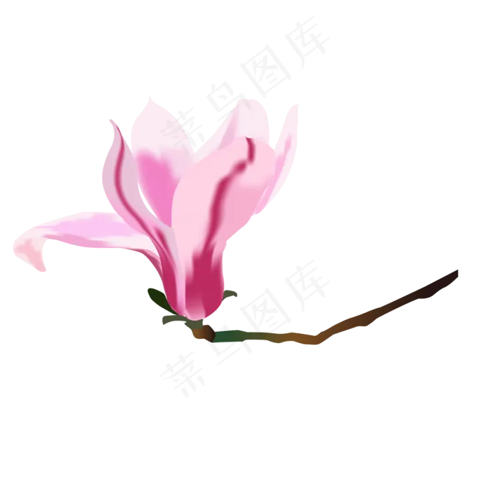 矢量免扣卡通玉兰花,免抠元素(4167*4167px 300 dpi )ai矢量模版下载