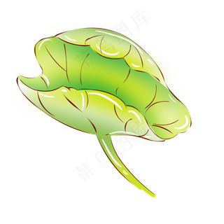 手绘花荷花小清新植物绿色荷叶