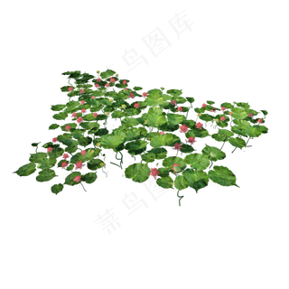 仿真荷花池png图