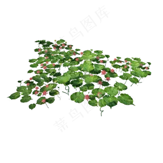 仿真荷花池png图