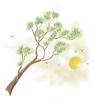 松树和太阳飞鸟