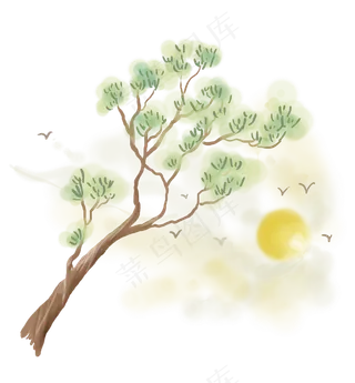 松树和太阳飞鸟