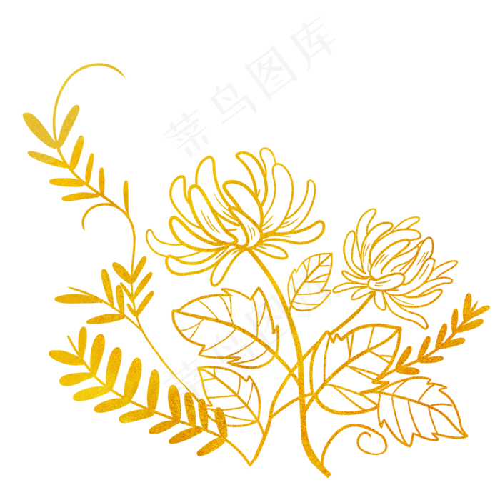 金粉烫金菊花线描装饰图案