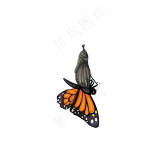 绿色清新春天漂浮植物蝴蝶