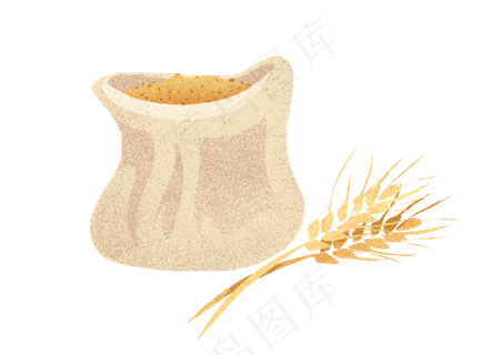 芒种金色小麦麦穗