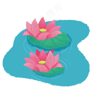 池塘中莲花荷花