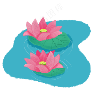 池塘中莲花荷花