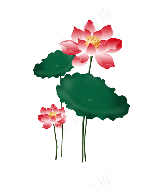 中国风红色荷花荷叶(2480X2748(DPI:300))psd模版下载