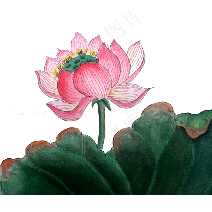 国画莲花水墨意境荷花PNG夏