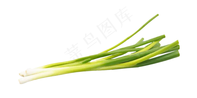 餐饮食材小葱