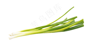 餐饮食材小葱