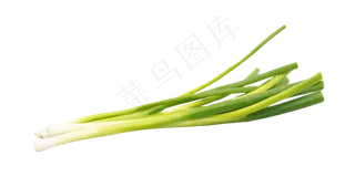 餐饮食材小葱