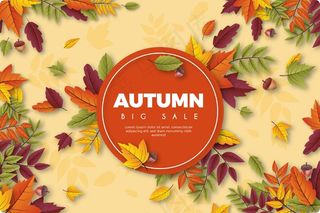 逼真的秋季销售壁纸