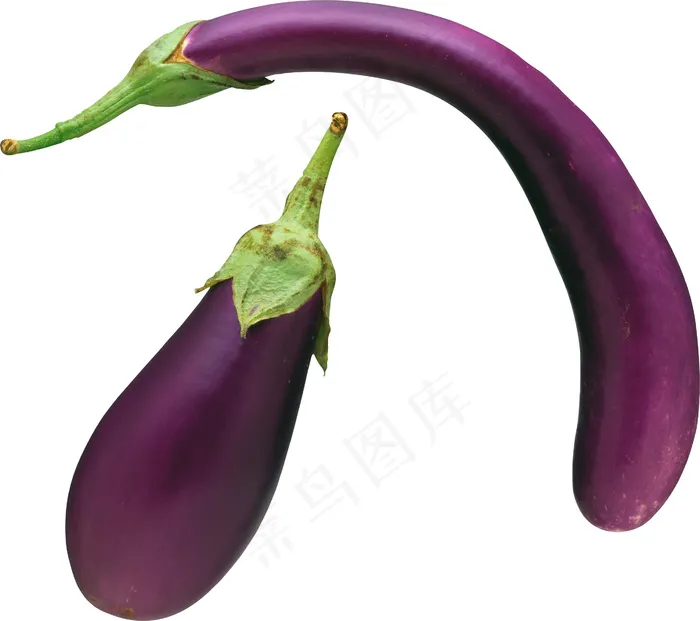 茄子 蔬菜psd模版下载