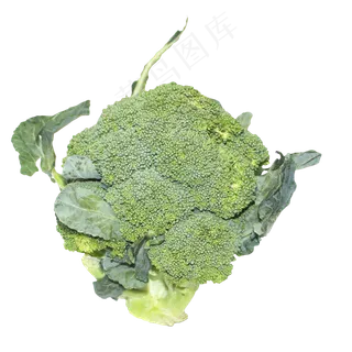 西兰花绿色蔬菜