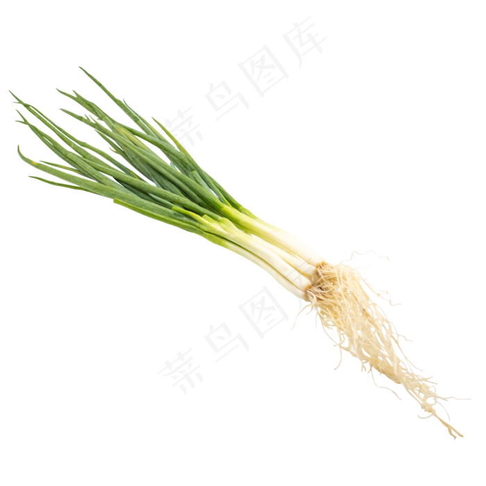 绿色蔬菜大葱