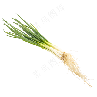绿色蔬菜大葱