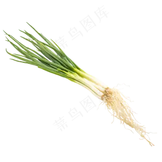 绿色蔬菜大葱