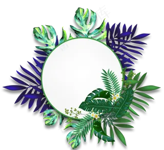 复合热带植物边界