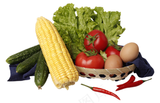 新鲜蔬菜菜篮子