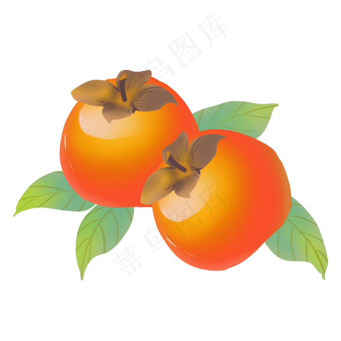 寒露果实柿子(2000X2000(DPI:300))psd模版下载