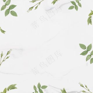 绿叶图案框架矢量