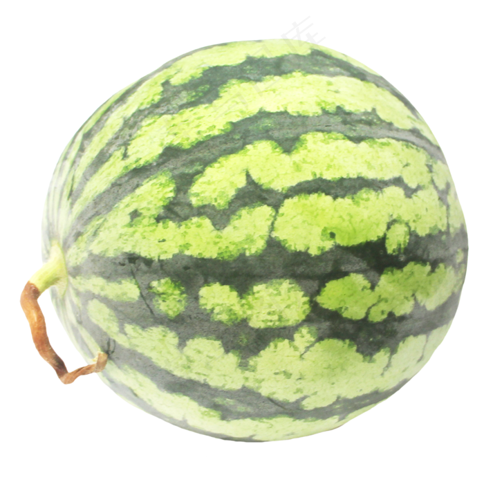 夏日水果西瓜