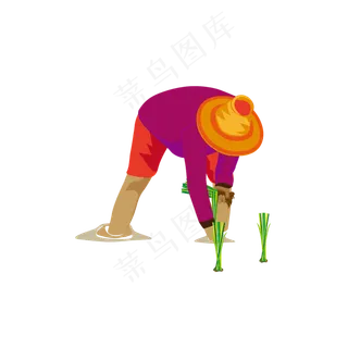 立秋秋季插秧栽秧的农民伯伯