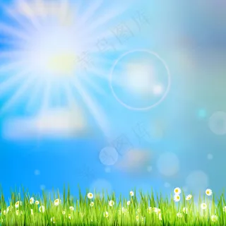 春或夏抽象自然。 春或夏抽象自然。