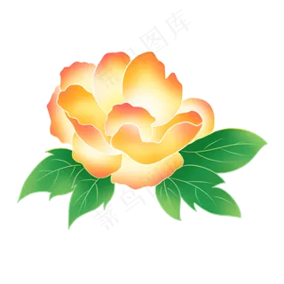 黄色渐变牡丹花