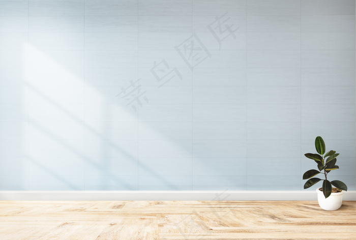 在蓝色墙壁背景下种植，带有复制空间