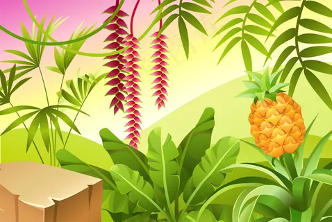 热带植物的狩猎景观。