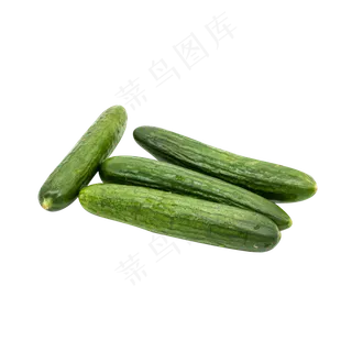 新鲜黄瓜食材