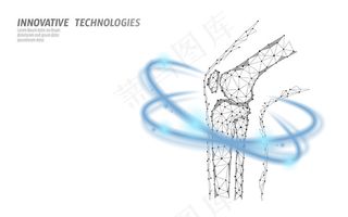 人体膝关节三维模型样机矢量图。低多边形设计