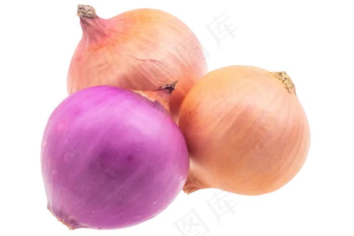 紫色蔬菜洋葱(3500X3500(DPI:300))